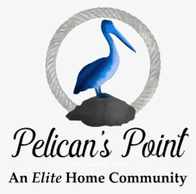 Pelicans Point Subdivision Src - Pelican, HD Png Download, Transparent PNG